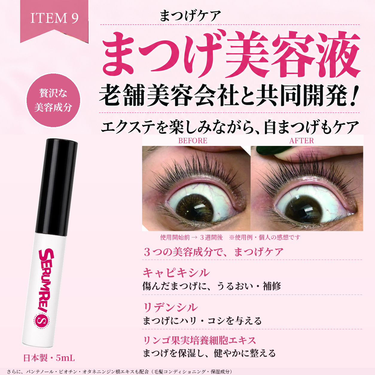 説明
