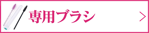 専用ブラシ