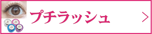 プチラッシュ