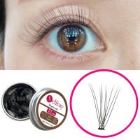  【在庫無くなり次第終了20%OFF!!】【Selfray】エレガントラッシュ Dカール 太さ0.07mm 10本束