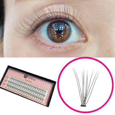 【Selfray】クラシックラッシュ大容量 Dカール 太さ0.07mm 10本束