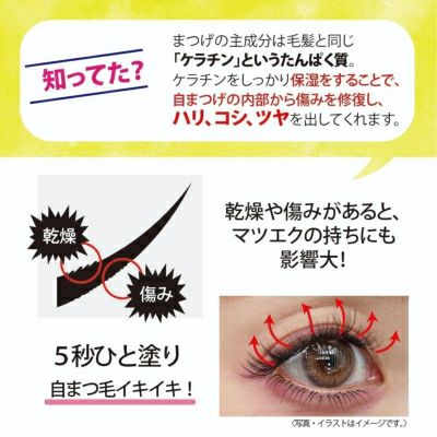 まつげ美容液セラムレイ｜目に沁みない筆タイプでコシのある自まつ毛へ