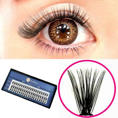 【Selfray】セレブリティラッシュ Cカール 太さ0.10mm